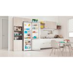 Indesit-Холодильник-с-морозильной-камерой-Отдельностоящий-ITD-5200-W-Белый-2-doors-Lifestyle-perspective-open